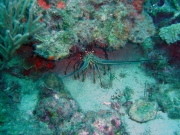 DSC04051m 