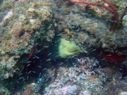 DSC03710m 