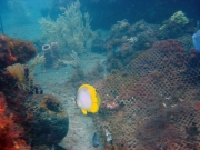 DSC03430m 