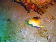 DSC03909m 