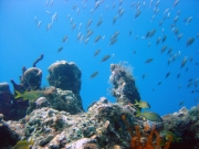 DSC02036 